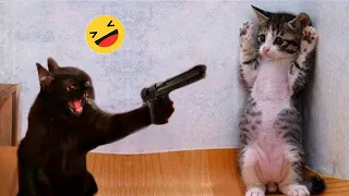 Best Funniest Cats 😹 - Don't try to hold back Laughter 😂 Funny Cats 2023 #6