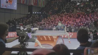 Fan Zhendong vs Liang Jingkun