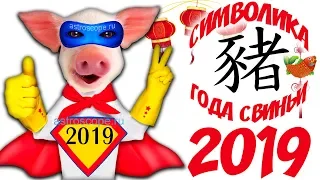 Символ 2019 года Свинья: символика образа Жёлтой Земляной Свиньи