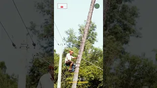 Tree Climbing Machine #Shorts | Tree Climber Cycle