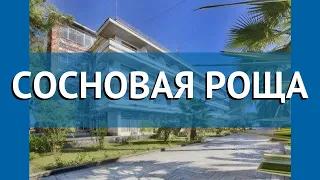 СОСНОВАЯ РОЩА 2* Абхазия Пицунда обзор – отель СОСНОВАЯ РОЩА 2* Пицунда видео обзор