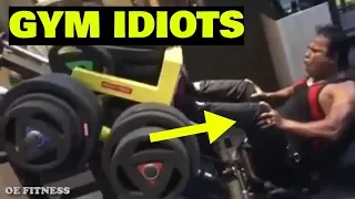 15 GYM IDIOTS 2020 That Will Leave You Speechless