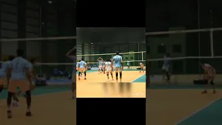 Vipul Malik Setter 1v4