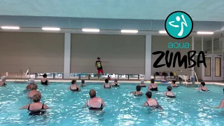 Aqua Zumba® routine • Love Shack (Aqua Fitness Level 3)