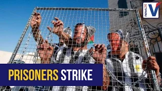 Palestinian prisoners near one month of hunger strike