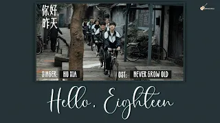 [ENG/CHN/PIN] Hu Xia (胡夏) Hello, Eighteen (你好 十八岁) LYRICS/歌词 | Never Grow Old (你好，昨天) CDRAMA OST