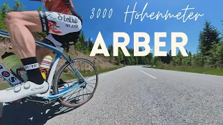 3000 Höhenmeter am Arber || Bergtraining mit dem Rennrad 🇩🇪