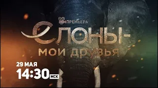 ПРЕМЬЕРА! Слоны - мои друзья / Haathi Mere Saathi