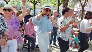 Domingo de tarde | Arcos de Valdevez |1442024.