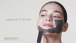 Seacret Magnetic Mud Mask