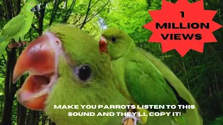 INDIAN RINGNECK PARROT NATURAL SOUNDS AND DANCING | INDIAN RING NECK DANCING