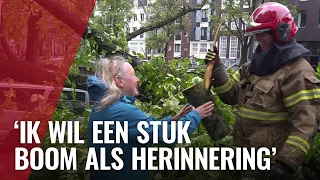 Verdriet om omgevallen bomen storm Poly