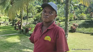 NO HANDS, NO PROBLEM | Jamaican Man Without Arms Making A Trail In Business #BarrSpice