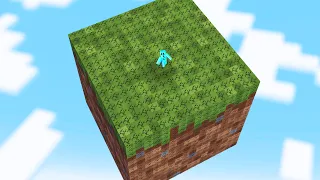 Minecraft but there’s Only One Giant Block