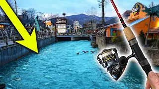 Fishing In The Middle of Downtown Gatlinburg!?!