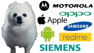 Gabe the dog but famous phone ringtones PART 2