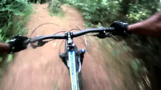 Sasquatch, Norco, fat bike, bridge track, Tauranga, NZ