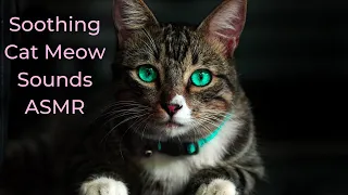 Soothing Cat Meow Sounds ASMR: A Whisker-Tingling Experience