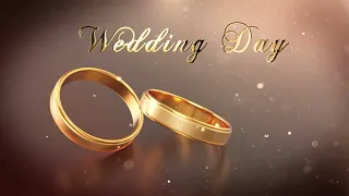 1.28 Свадебные Футажи. Wedding Day ( Золотые Кольца )