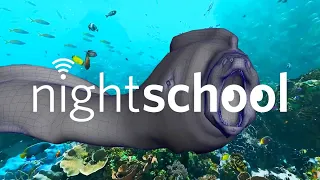 NightSchool: How To Design a Coral Reef