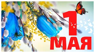 Поздравление с 1 МАЯ ! 🌸🌸🌸Красивое поздравление с Первомаем ! Мир,труд,май.🎈🎈🎈