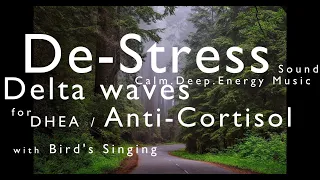 De-Stress Sound without Music│Brain Wave│Delta Wave│DHEA Hormone│Anti-Cortisol│Stress Relief│Study