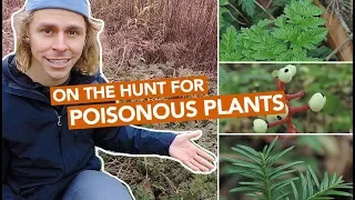 On The Hunt For Poisonous Plants