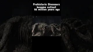 Proof We Are Getting Old Part 6 #dinosaur #shorts #paleo #jurassicpark #prehistoricplanet #top