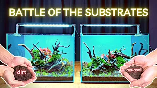 CHEAP DIRT vs EXPENSIVE AQUASOIL! WHO'S GOING TO WIN??