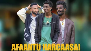 GALAA ENTERTAINMENT: New Oromoo Comedy #Afaantu #Harcaasa!