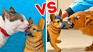 GATTO VS CANE || Scherzi Divertenti e Trucchetti Utili