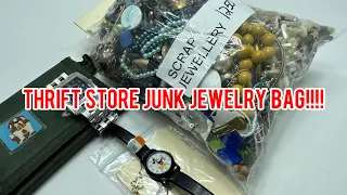 Thrift store mystery junk jewelry bag