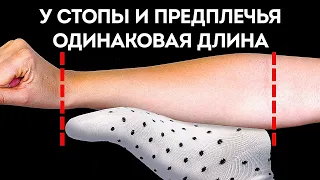 100+ фактов о теле человека, которые вы не сможете забыть