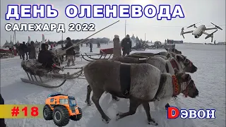 День оленевода. Салехард 2022.