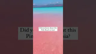 The pink beach on Komodo Island in Indonesia has gained fame for its light.#nature #shoart
