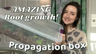 Learn how to make a plant PROPAGATION BOX | AMAZING root growth! | TIPS and TRICKS!