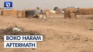 IDPs Lament Poor Shelter, Means Of Livelihood