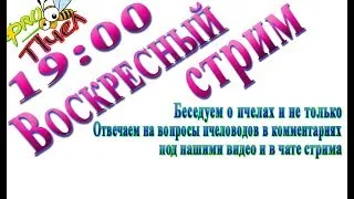 Ответы на вопросы и беседа с пчеловодами каждое воскресенье 19.00