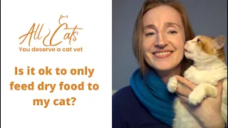 Is it ok to feed my cat dry food only?