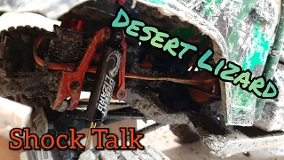 Desert Lizard Shock Discussion (Check Description)