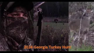 Georgia Turkey Hunt, Hen’d Up???