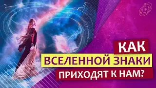 Знаки вселенной: Как знаки приходят к нам? | Татьяна Панюшкина