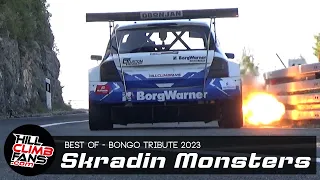 BEST of Skradin HillClimb Monsters 2023 | BONGO Tribute hill climb ☆