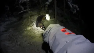 Alaska Wolverine and Wolf Trapping 2023 (Episode 5)