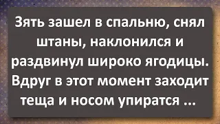 Зять Засветил Тёще Зад! Сборник Самых Свежих Анекдотов!