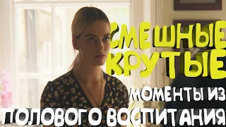 СМЕШНЫЕ/КРУТЫЕ МОМЕНТЫ ИЗ ПОЛОВОГО ВОСПИТАНИЯ #16 (1 СЕЗОН)