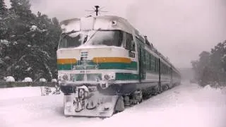 Дизель-поезд ДР1А в снегу / DR1A in the snow