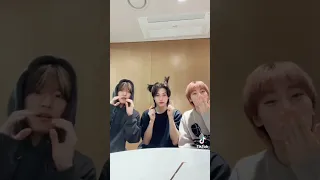 Felix, jeongin, seungmin new tiktok