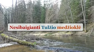 Nesibaigianti Tulžio medžioklė - Gabrielius Ser