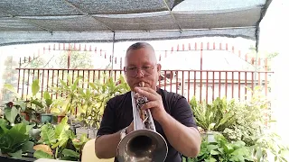 GREEN GREEN GRASS OF HOME - Tom Jones  (Trumpet) cover